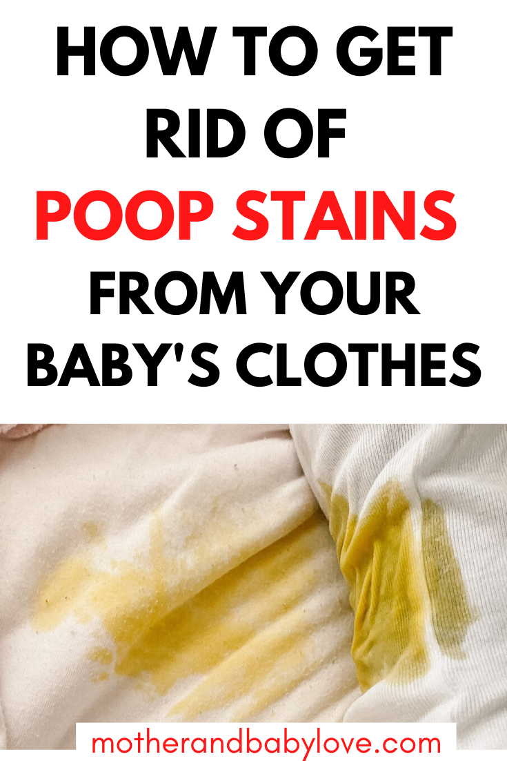 how-to-remove-bird-poop-stains-from-clothes-c-c-disposal