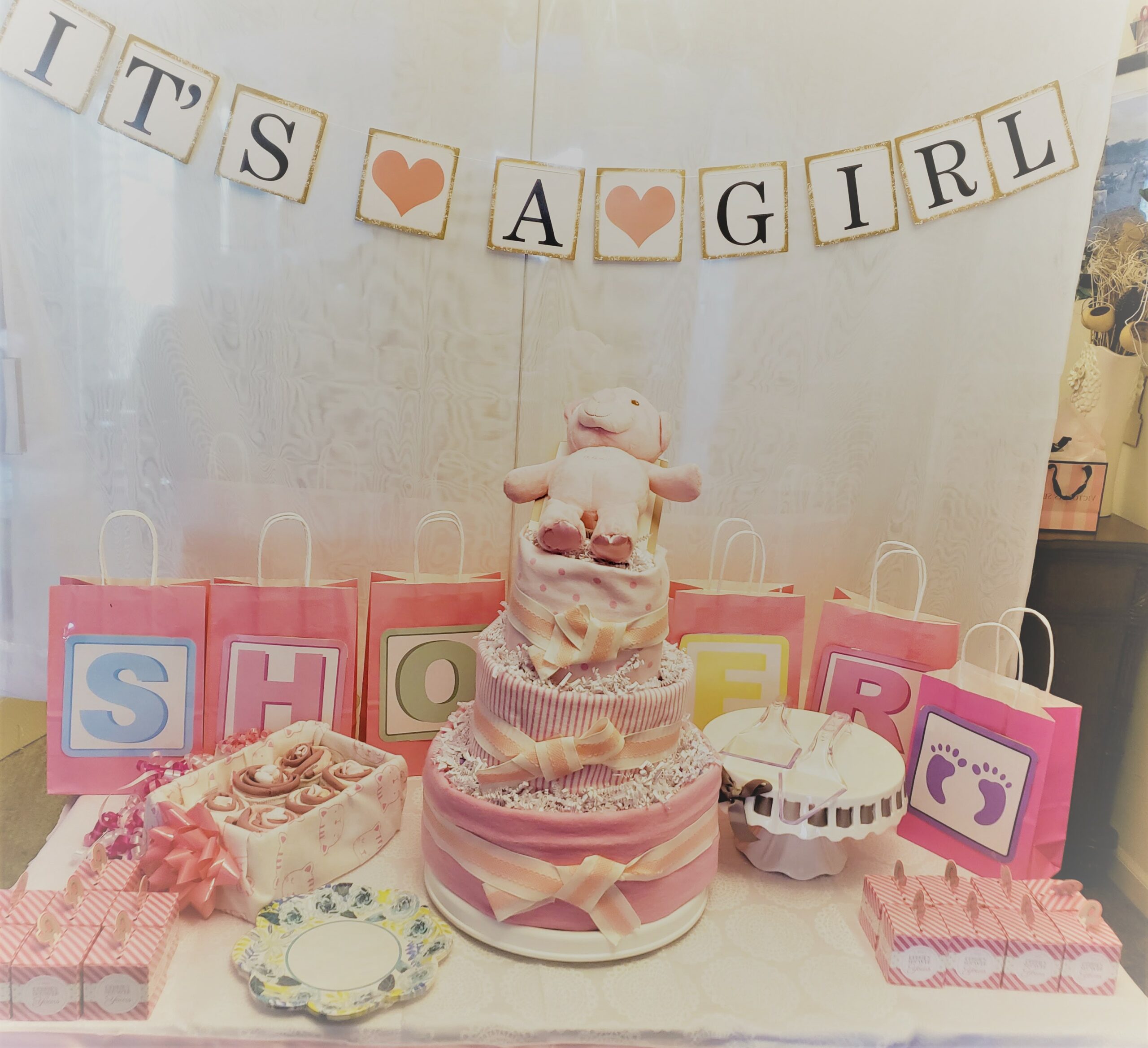 My Pregnancy Story Surviving A HighRisk Pregnancy Mother and Baby Love