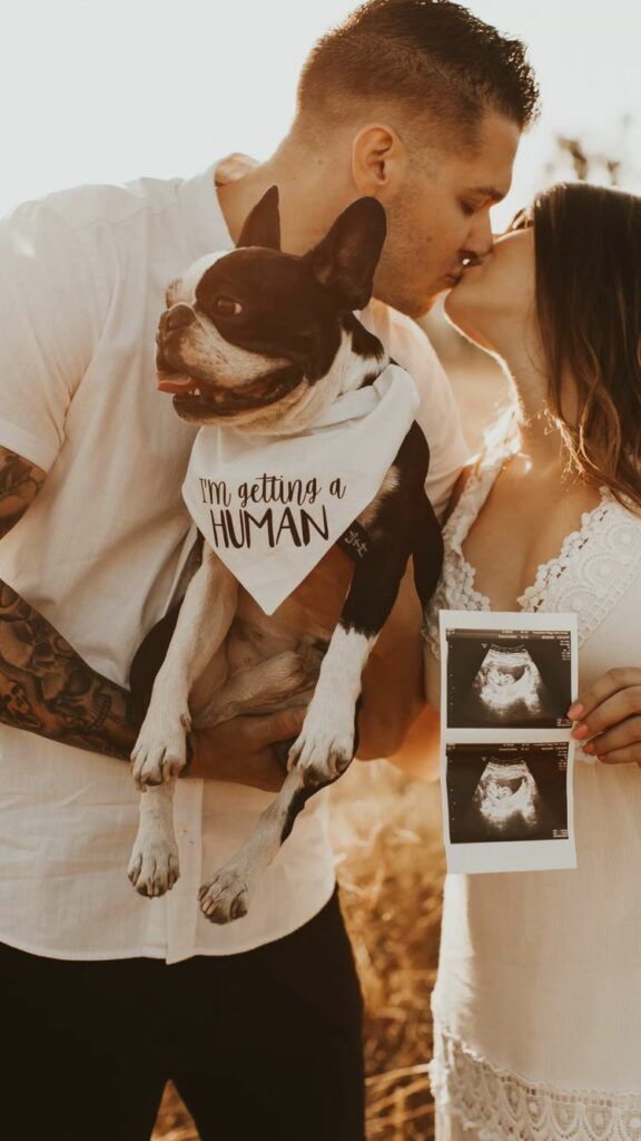 fall pregnancy announcement with pets/ dogs