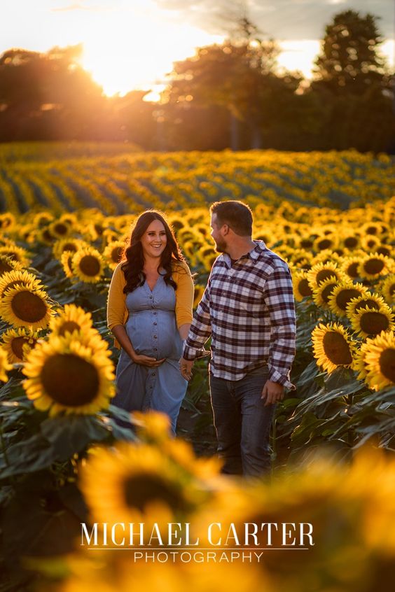 Sunflower field pregnancy announcement 