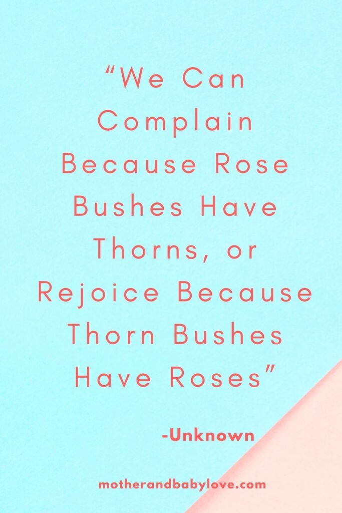 We Can Complain Because Rose Bushes Have Thorns, or Rejoice Because Thorn Bushes Have Roses